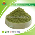 Best Seller Organic Buckwheat Grass Powder